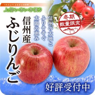 りんご様 専用 物悲し